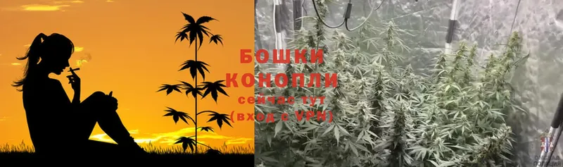 как найти закладки  Подольск  Канабис LSD WEED 